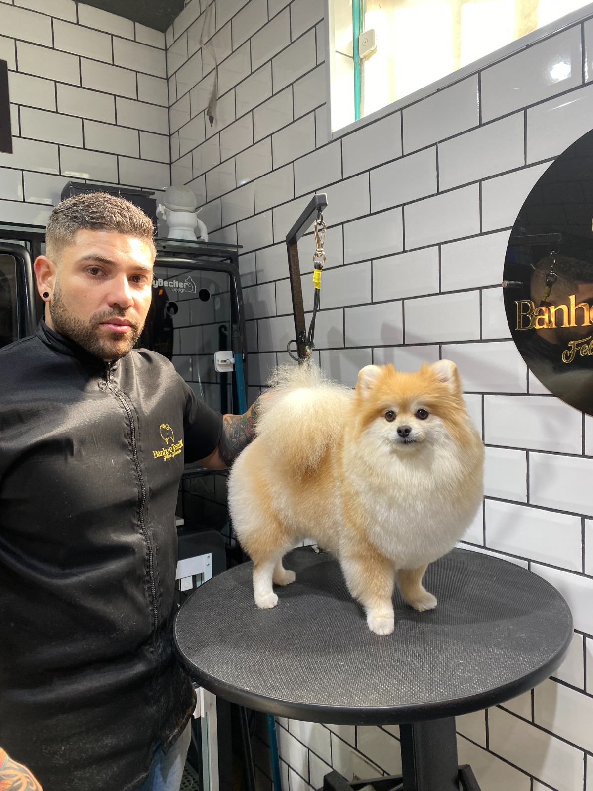 Spitz Alemão — finalização